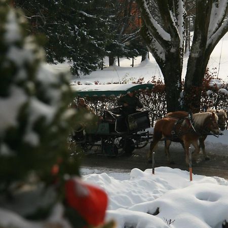 Pension Wolfgangsee Saint Wolfgang Εξωτερικό φωτογραφία